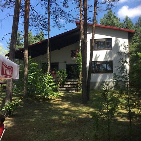 Forest Villa Susiec Kültér fotó
