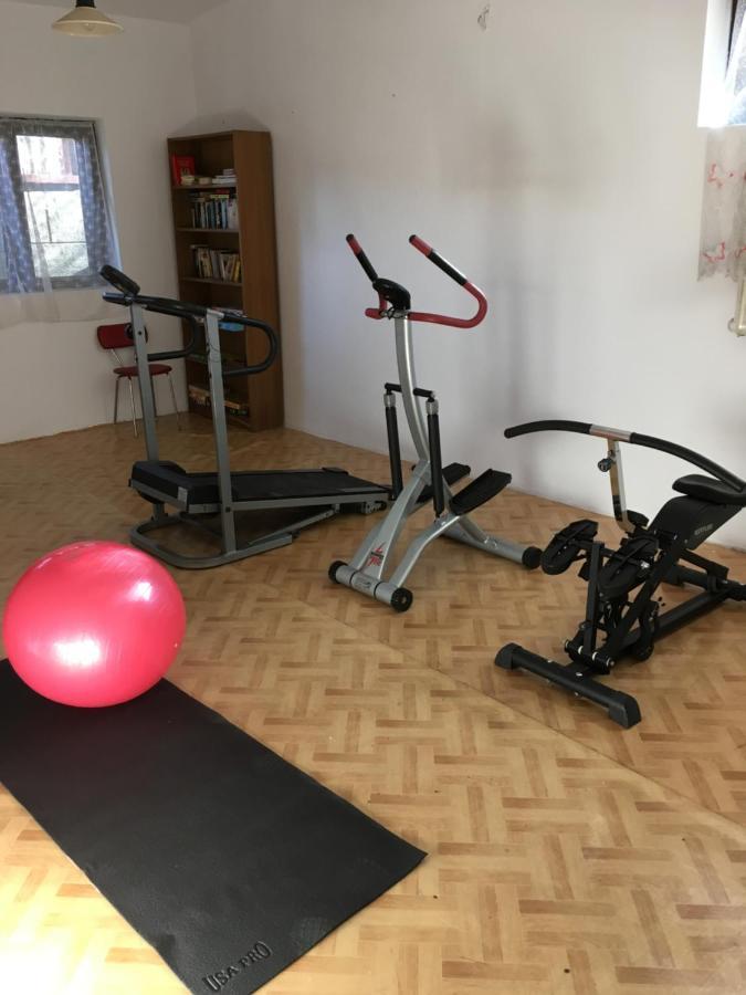 Forest Villa Susiec Kültér fotó