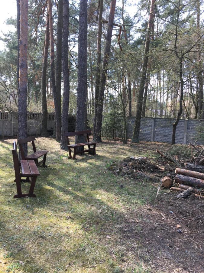 Forest Villa Susiec Kültér fotó