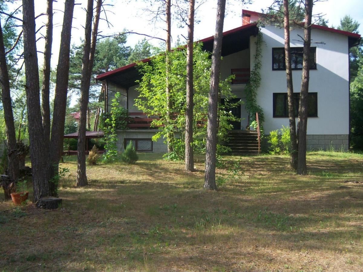 Forest Villa Susiec Kültér fotó