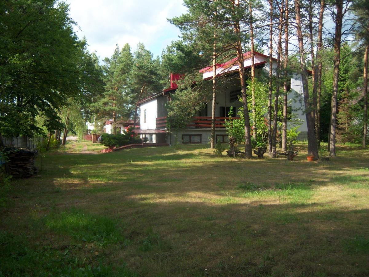 Forest Villa Susiec Kültér fotó