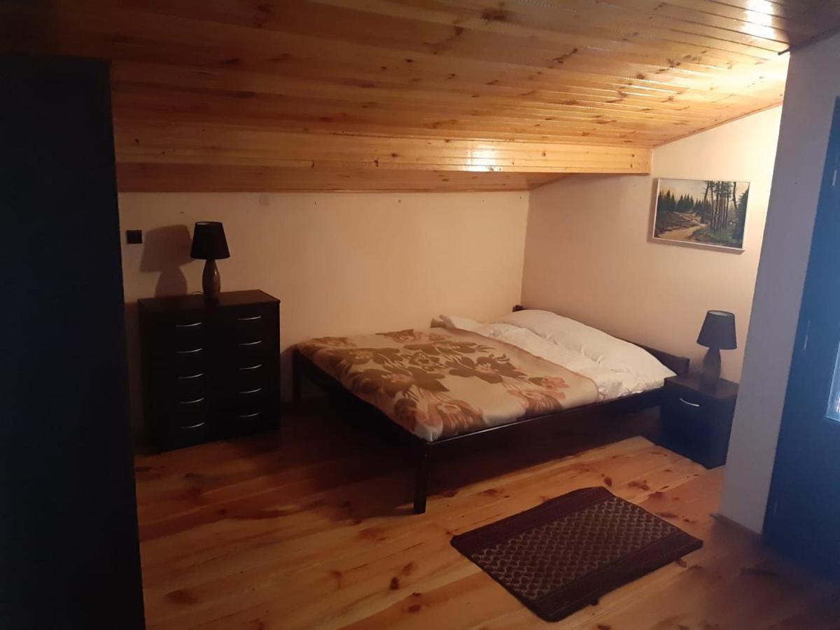 Forest Villa Susiec Kültér fotó