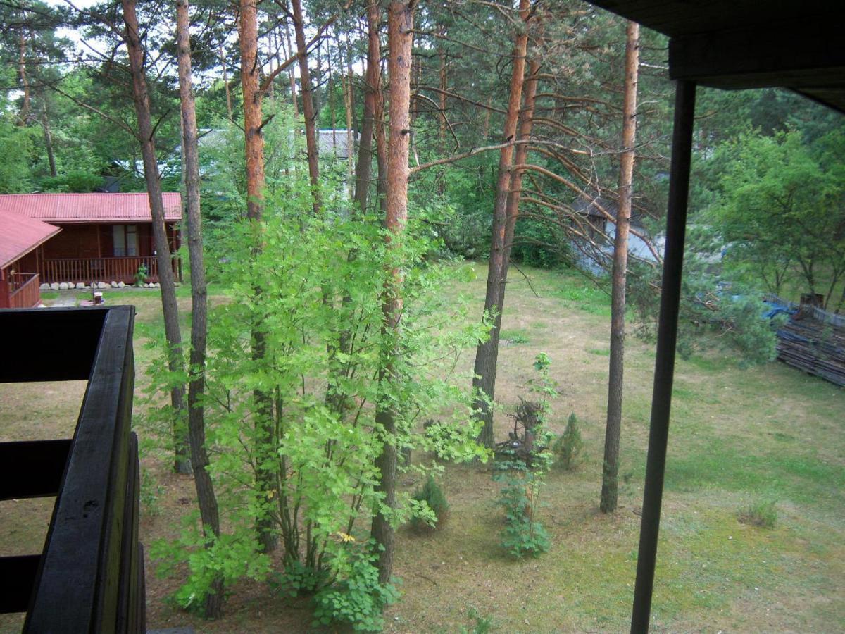 Forest Villa Susiec Kültér fotó