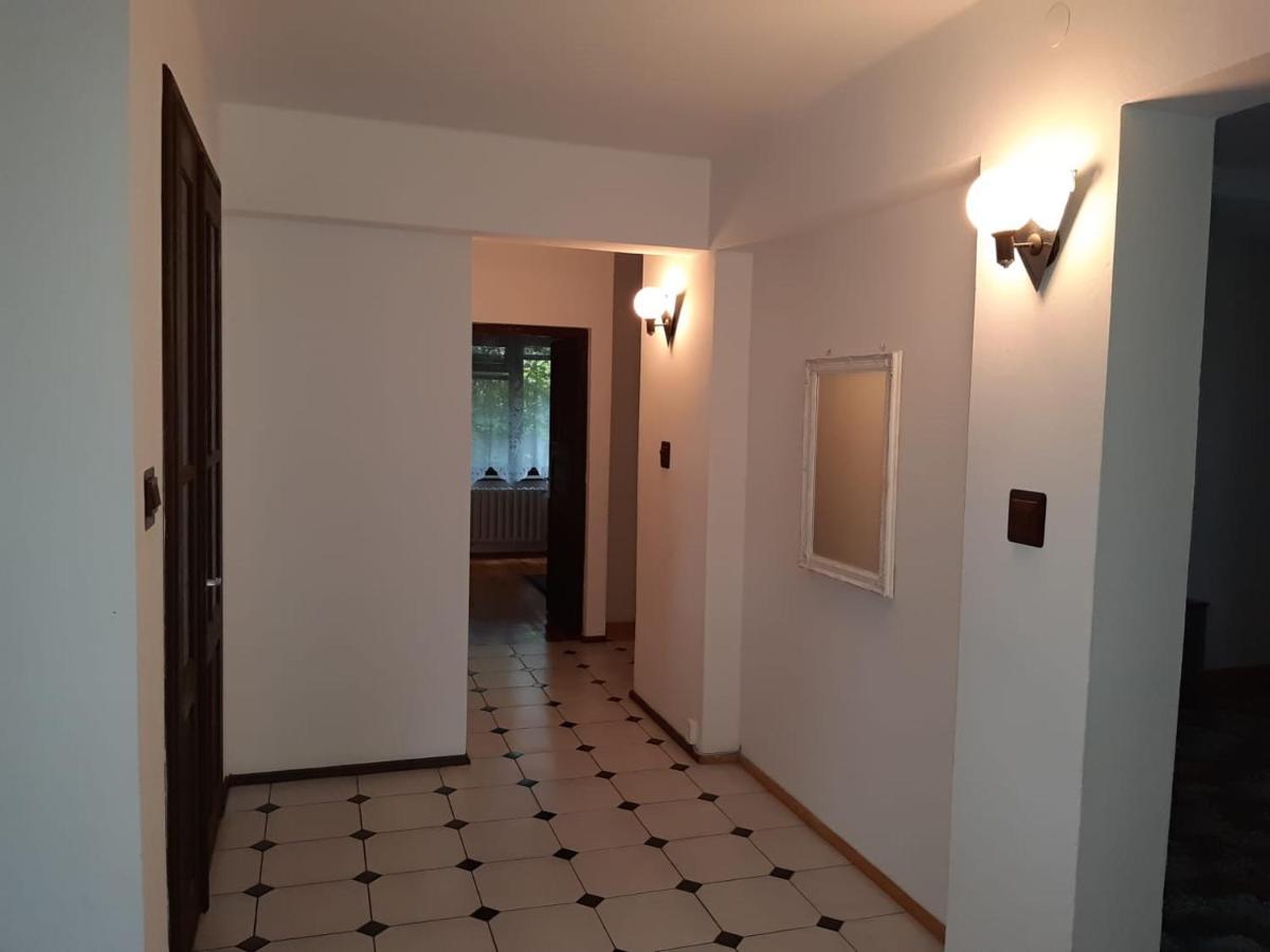 Forest Villa Susiec Kültér fotó