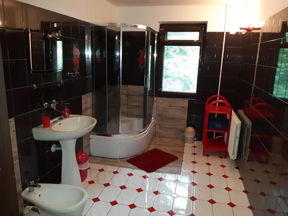 Forest Villa Susiec Kültér fotó