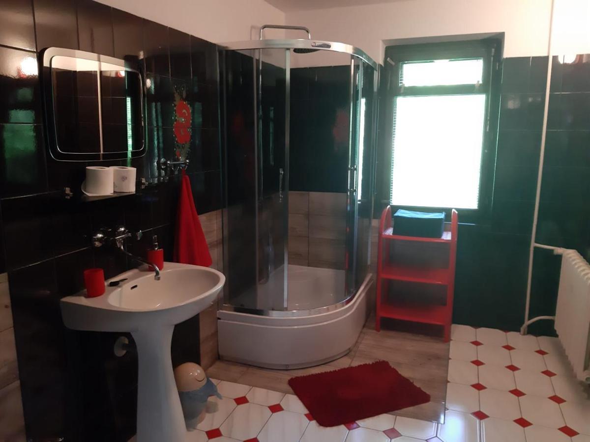 Forest Villa Susiec Kültér fotó